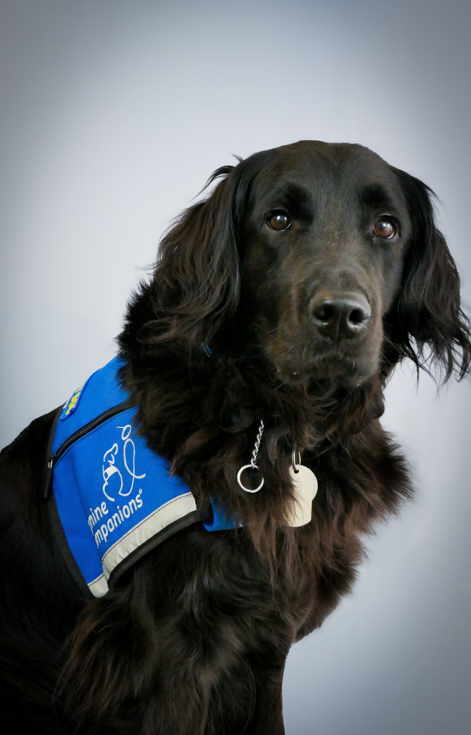 Duaisean Còmhnaidh is Comainn EDIA Harbor UCLA - Seirbheisean Slàinte  Siorrachd Los Angeles, image size:1640x2560